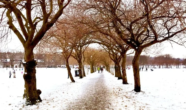 Snowy roads at Edinburgh