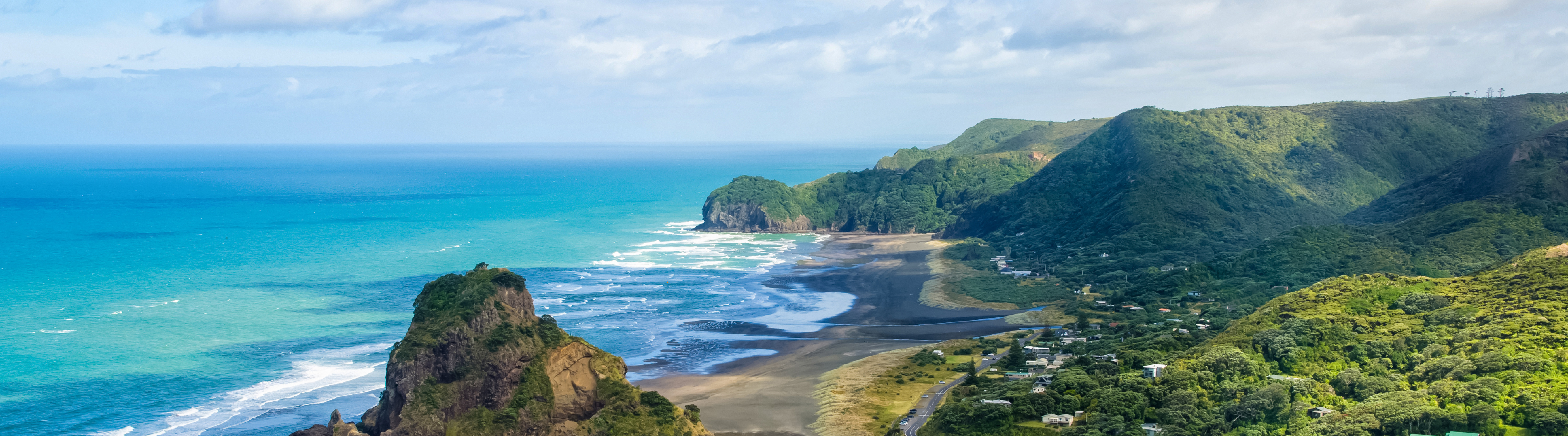 study in new zealand