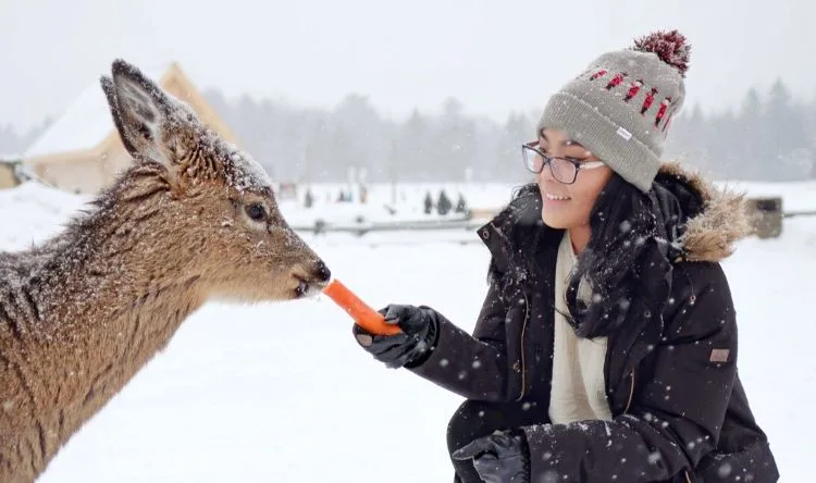 A female student feeding a deer