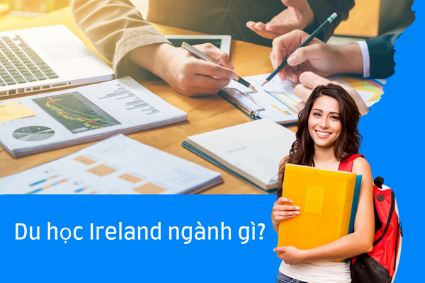 Các ngành học ở Ireland