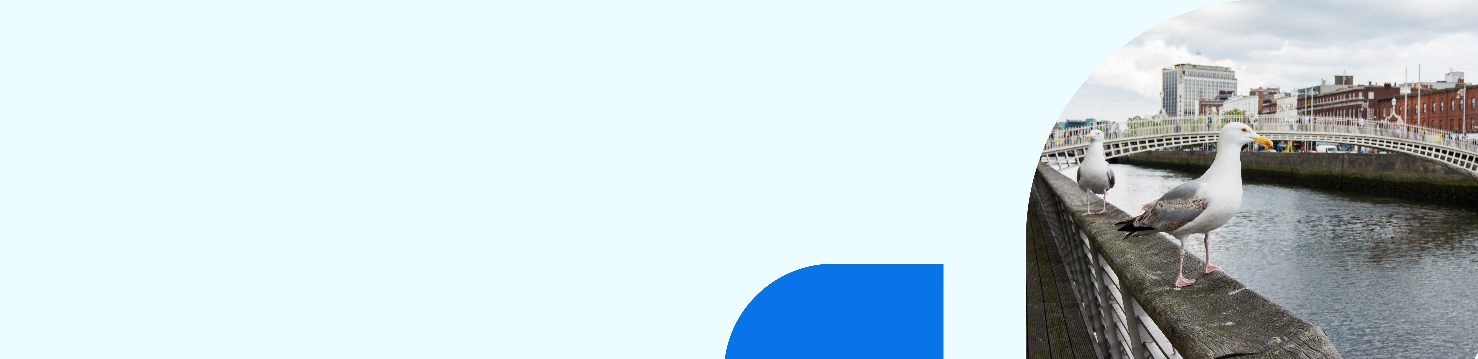 Student Visa Requirement in Ireland, Process, Fees & Application