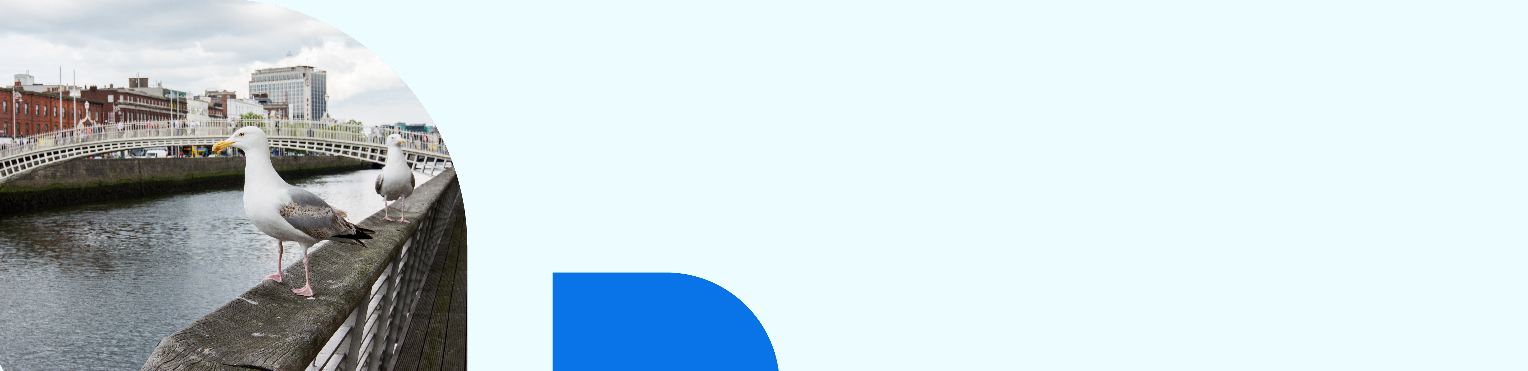 Student Visa Requirement in Ireland, Process, Fees & Application