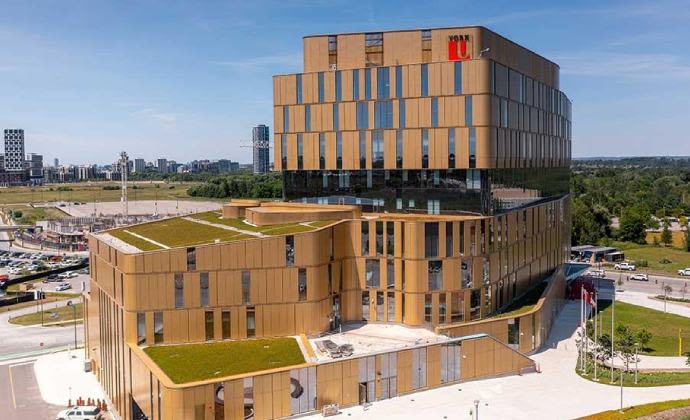 York University