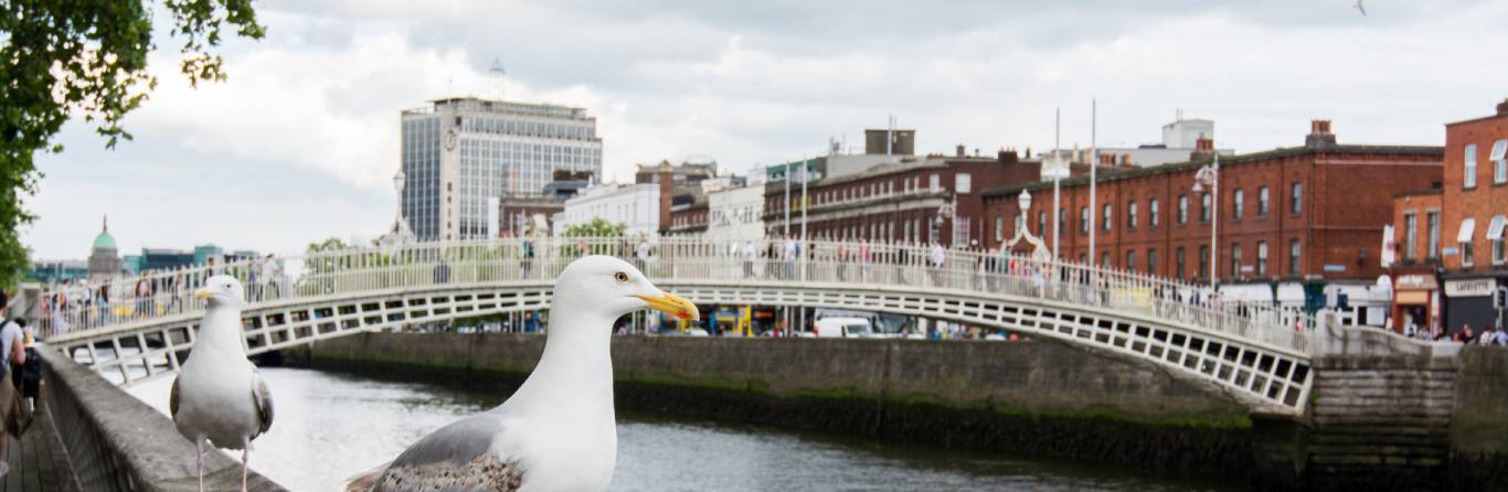 Du học tại Dublin