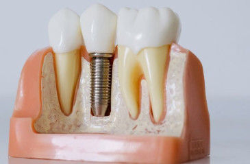 Dental Studies image