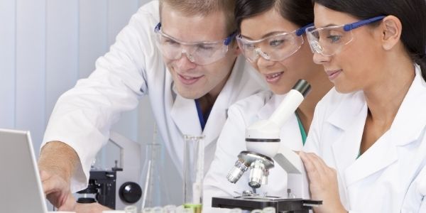 Studi MSc di Amerika Serikat