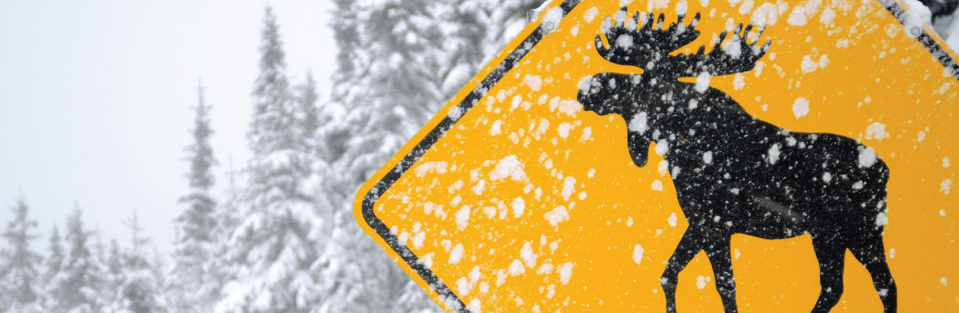 adverse weather arrangement on IELTS test day