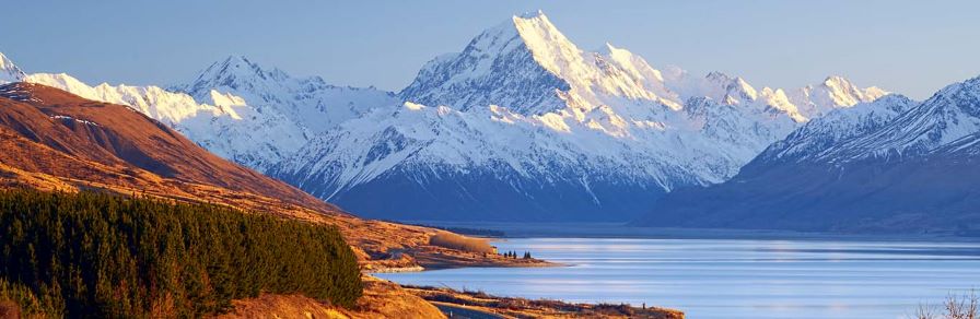 A view in New Zealand