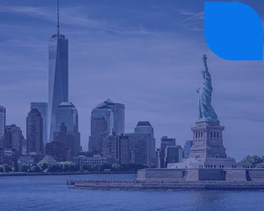 What is OPT and CPT in the USA?