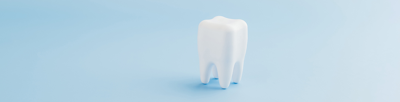 A large, white, realistic model of a tooth stands upright on a smooth, light blue background with ample empty space around it.