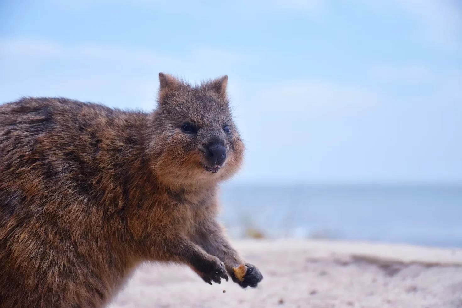 Australia Or The UK: Which Country Is Best To Launch Your Career?