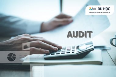 What is the auditing profession?