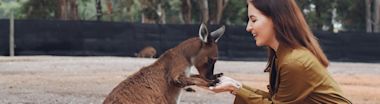 A female IDP student give food to a Kangaroo