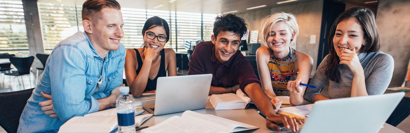 Study IT courses In New Zealand