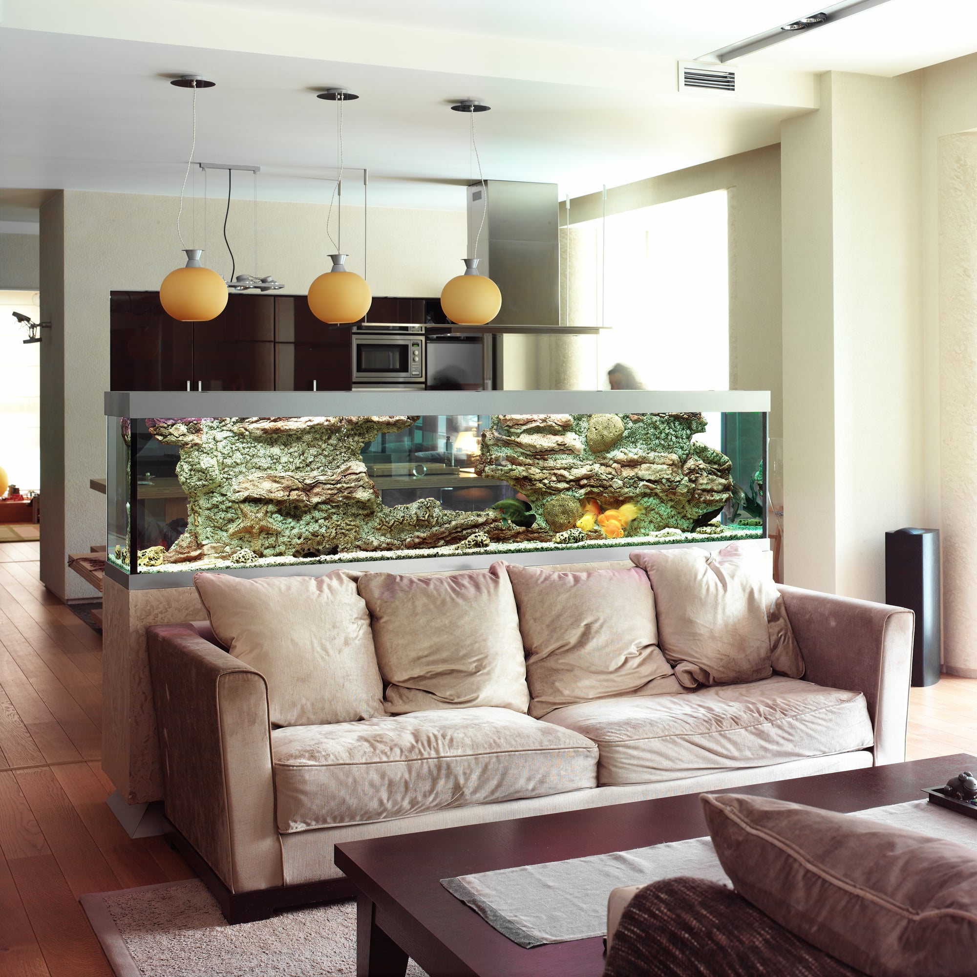 living room aquarium