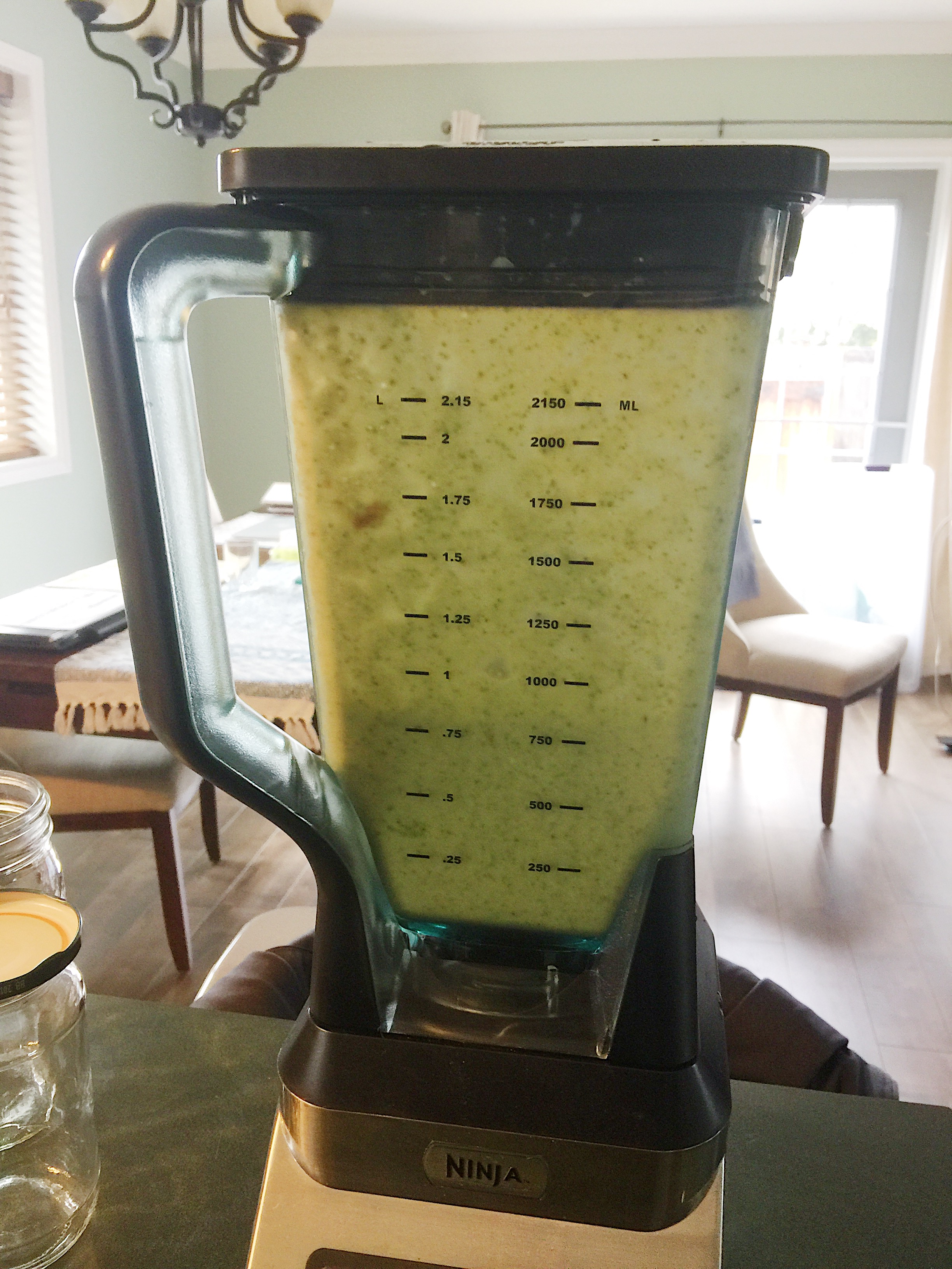 kale-smoothie-blender-2