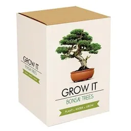 odla-ditt-eget-bonsai-trad-gift-republic