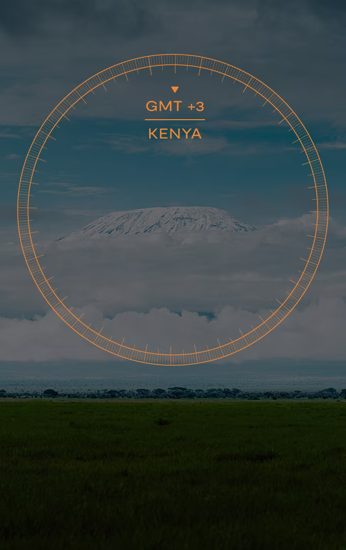 Morbi