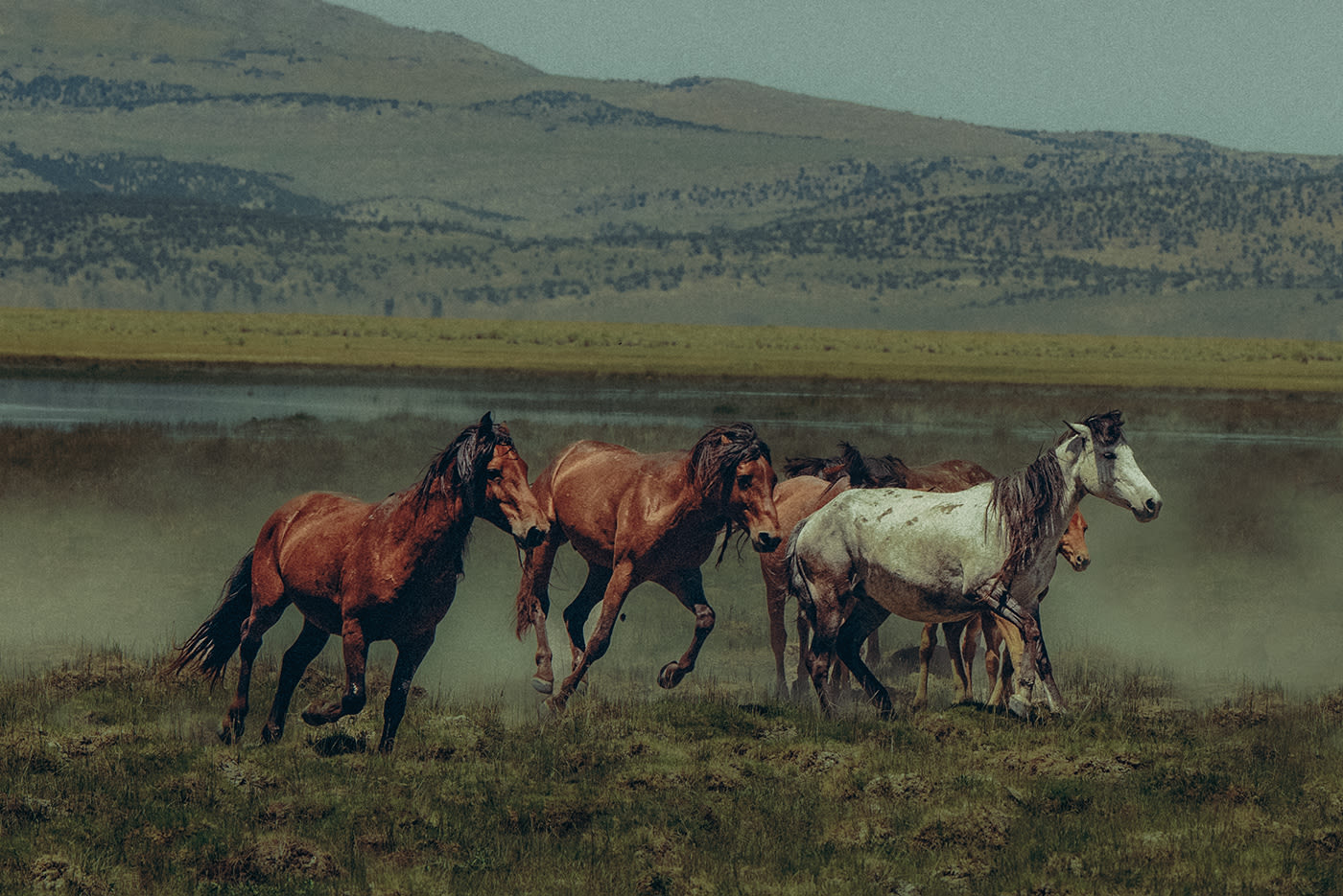 Field Note 6 - L. Renee: Into the Backcountry - Gallery 1