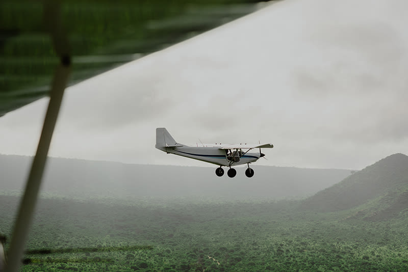 Field Note 1 - In Search of Mtito - Image Slider 4