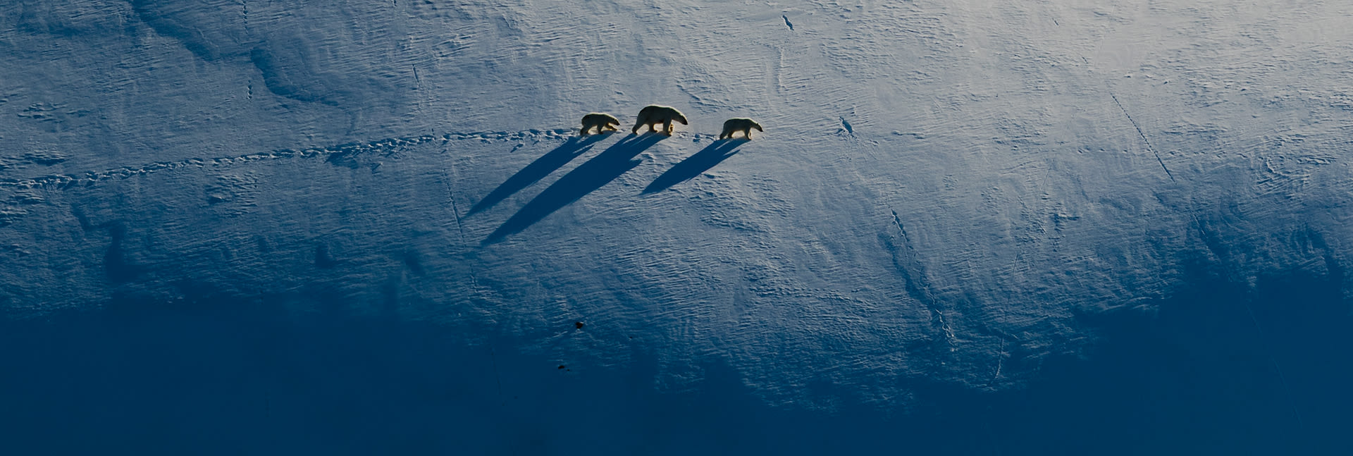 Field Note 2 - The edge of the Artic - Desktop
