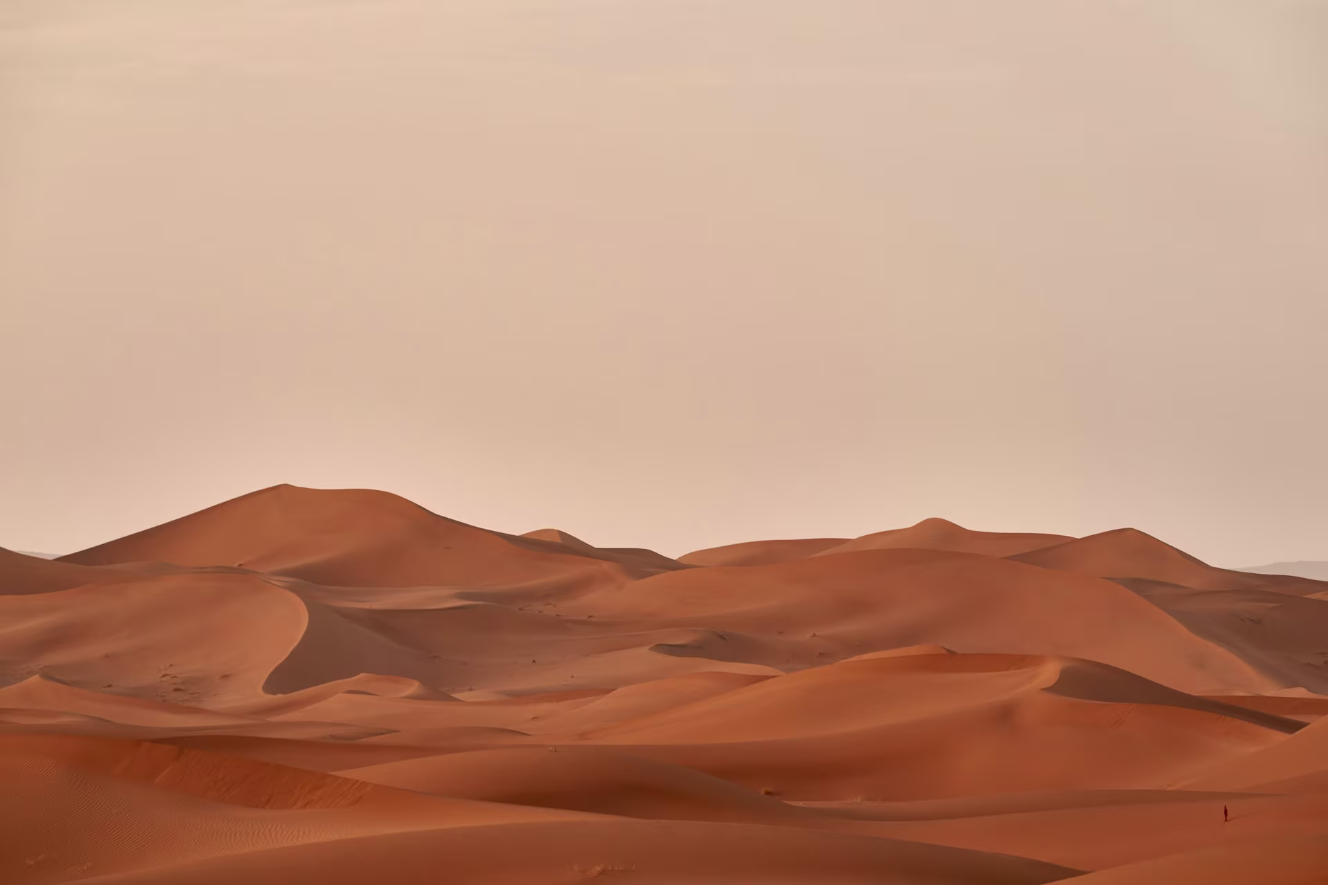 wolfgang-hasselmann-pVr6wvUneMk-unsplash