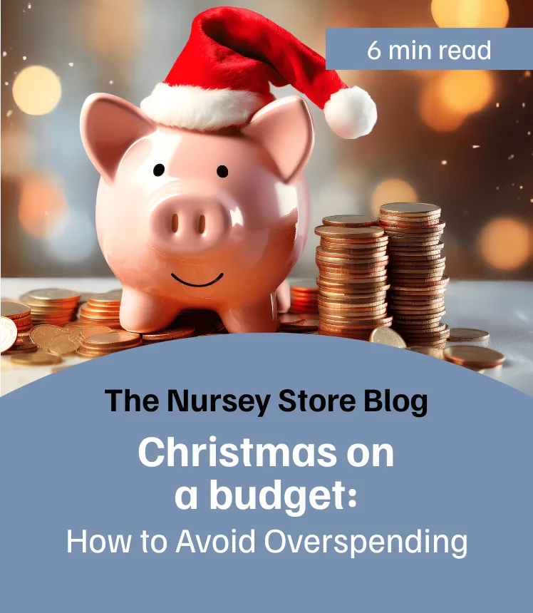 Blog: Christmas on a budget: How to avoid overspending