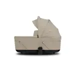 Thumbnail Image 10