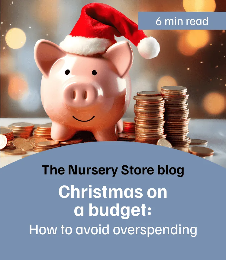 Blog: Christmas on a budget: How to avoid overspending