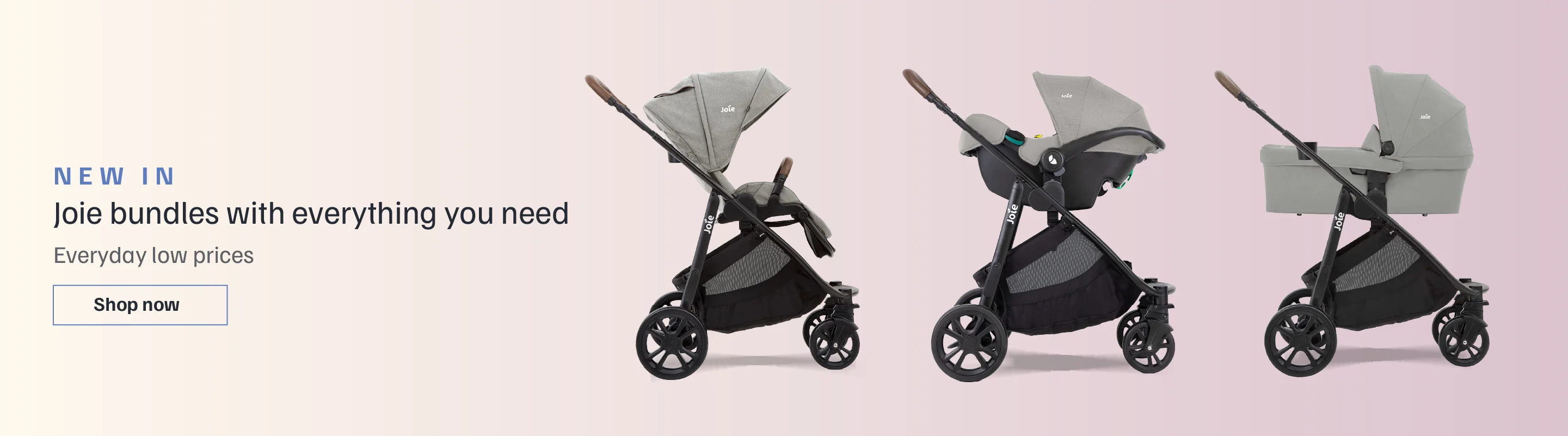 Discover our latest brands and launches