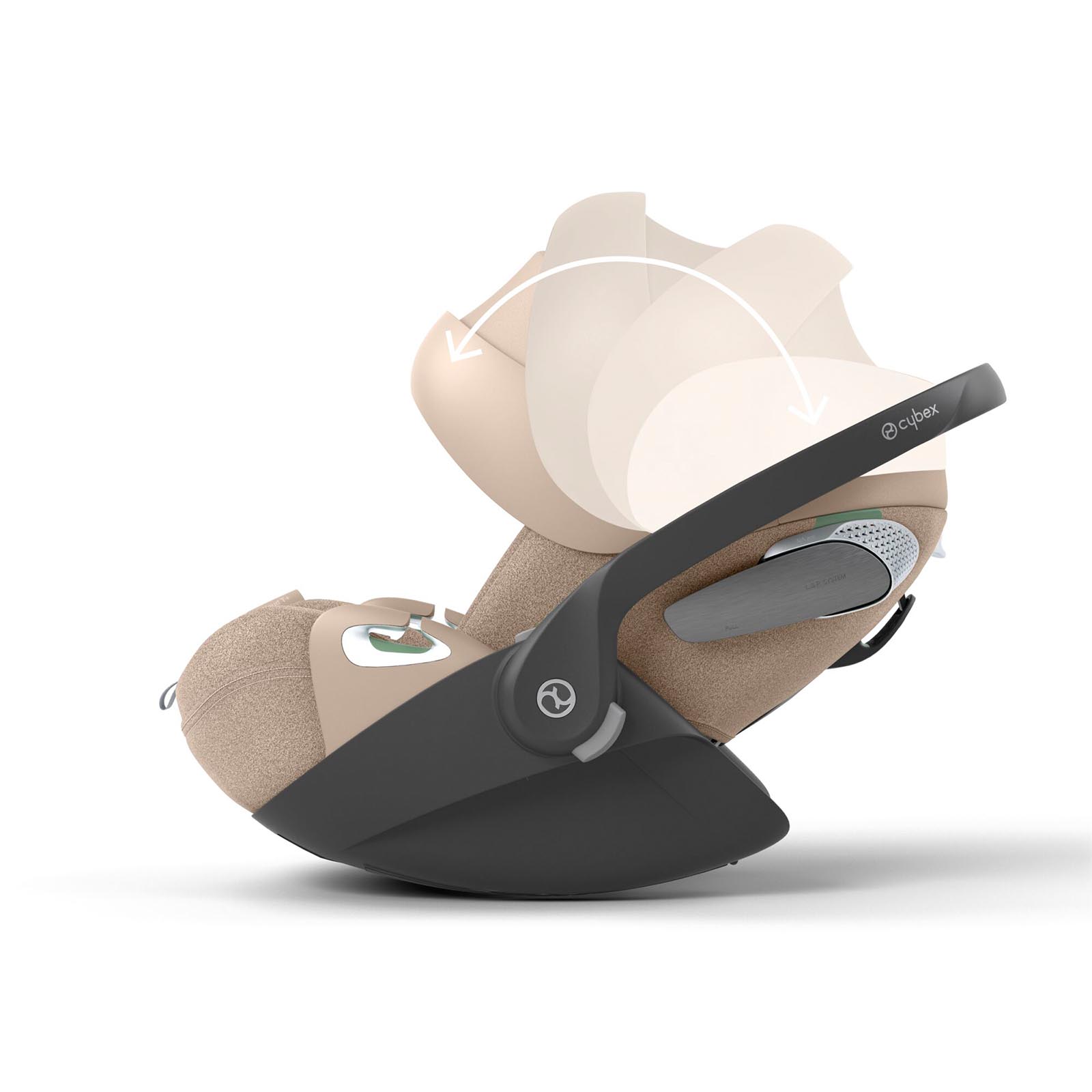 Thumbnail Image 12