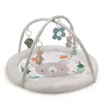 Thumbnail Image 13