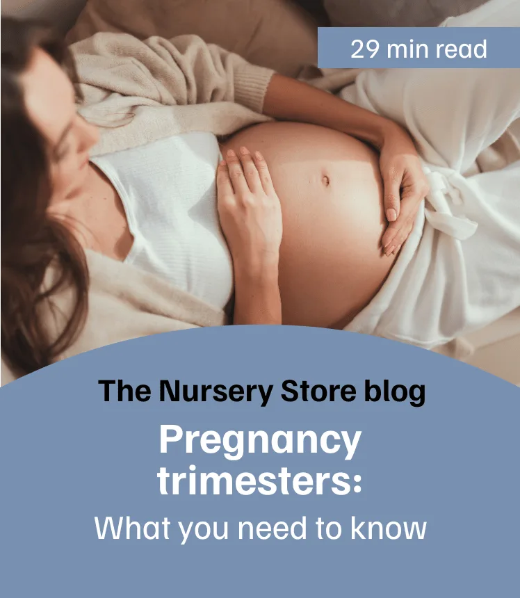 Pregnancy Trimesters - What you need to know
