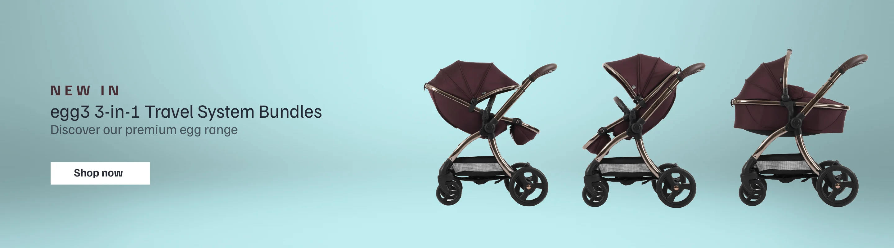 Discover our latest brands and launches