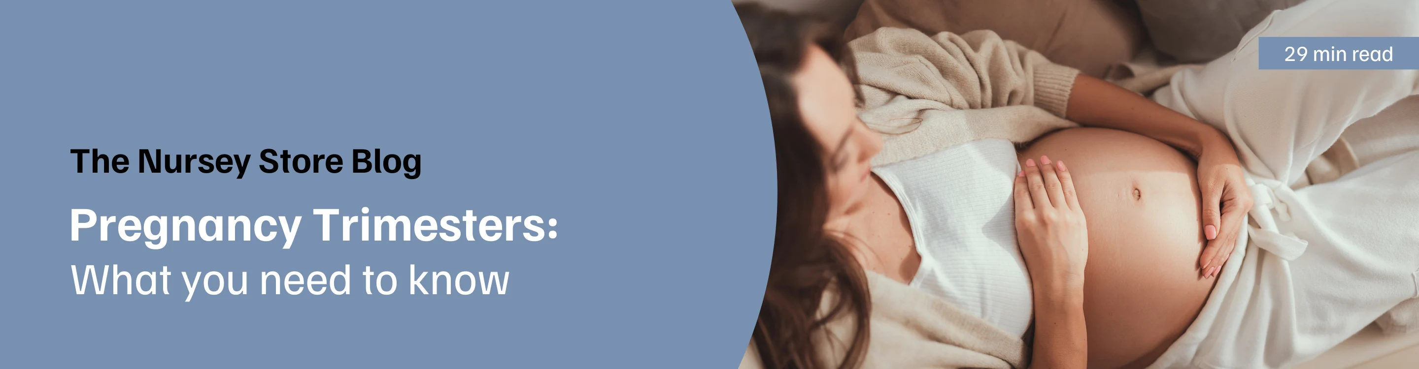 Navigating the Four Pregnancy Trimesters 