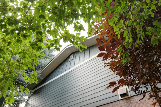 Golden Home Siding
