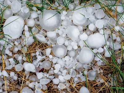 Colorado Siding Repair hail on the ground