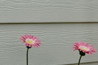 CEDAR TO HARDIE CO-Siding-20190903-125-e1589224017662