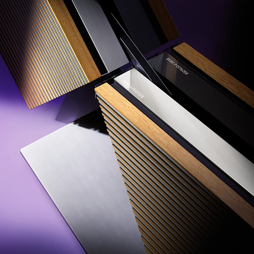 Detail of Beovision Harmony