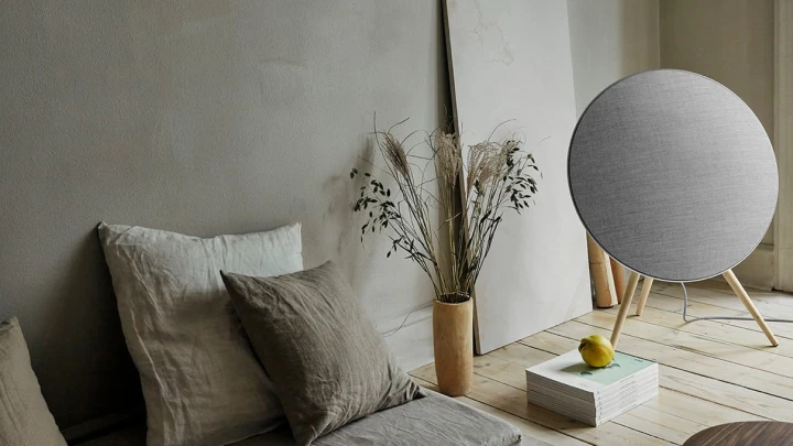 Beoplay A9 speakers front full next to plant 