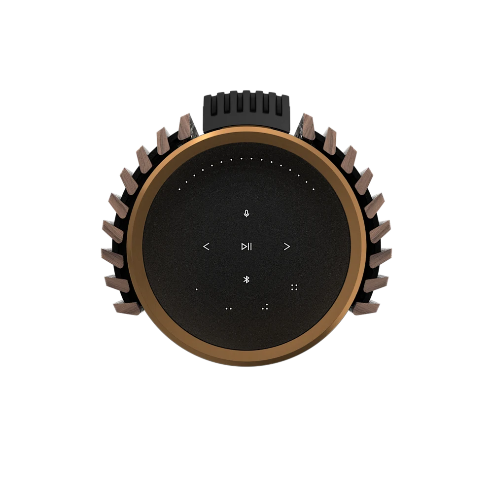Beolab 28 Walnut and Bronze
