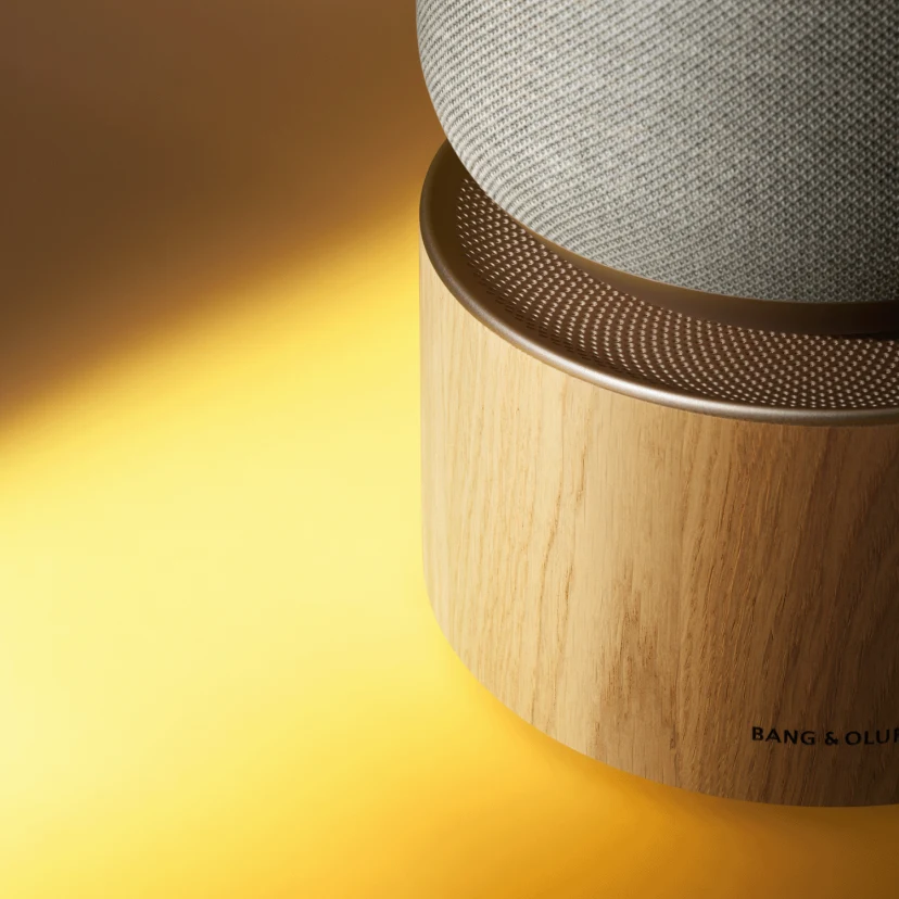 Detail of Beosound Balance speaker