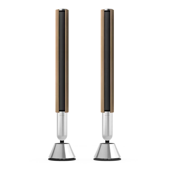 A pair of Beolab 28 speaker with Outer Cover Light Oak
