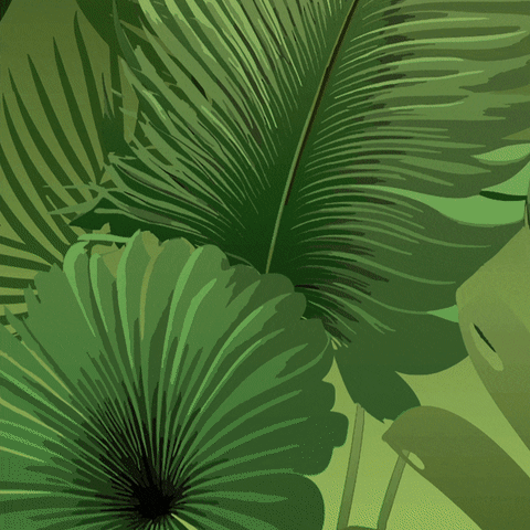 Animation with palme leaves and the Beosound 2 Atelier Limited Editions speaker in the colour Gradient Green