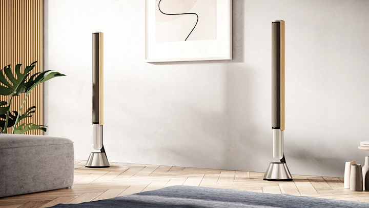 A pair of Beolab 28 in your living room