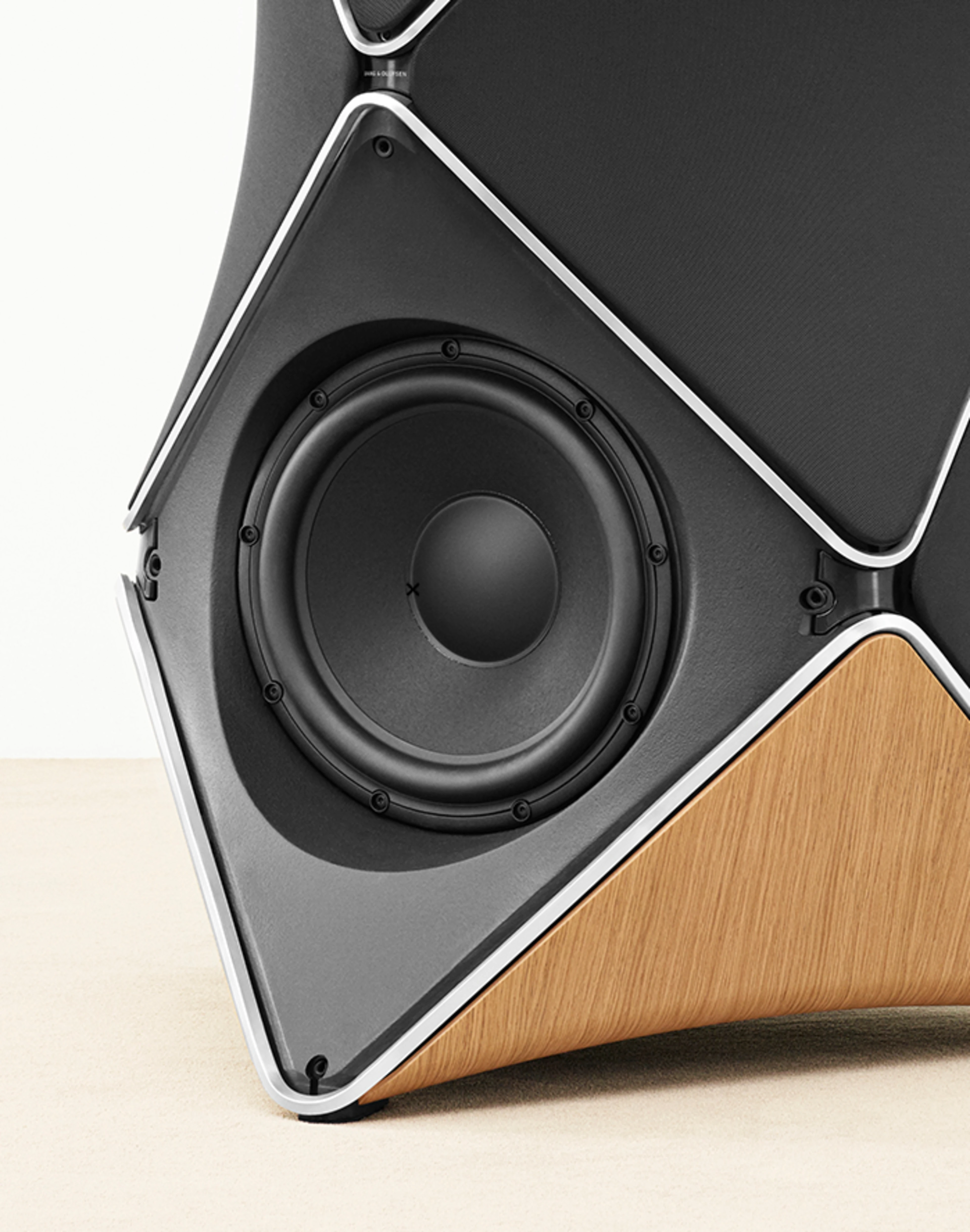 Beolab 90 speaker under the hood bottom part