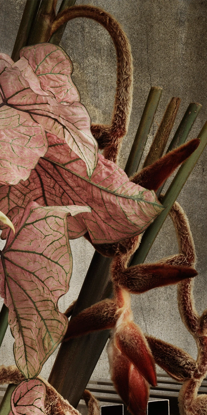 Beosound 1 speakers full on metal table leaf in background