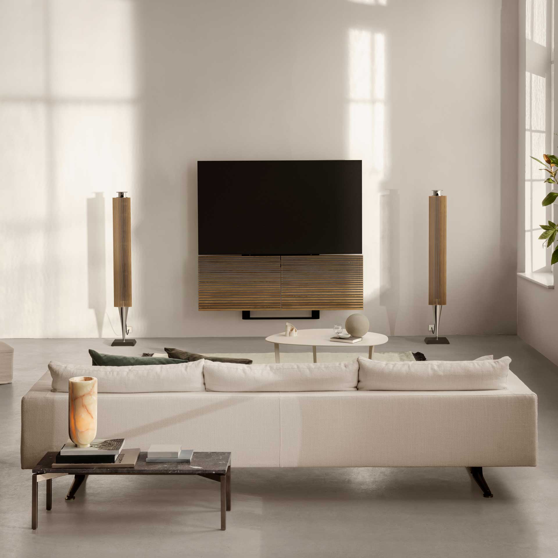 Bang olufsen tv store speakers