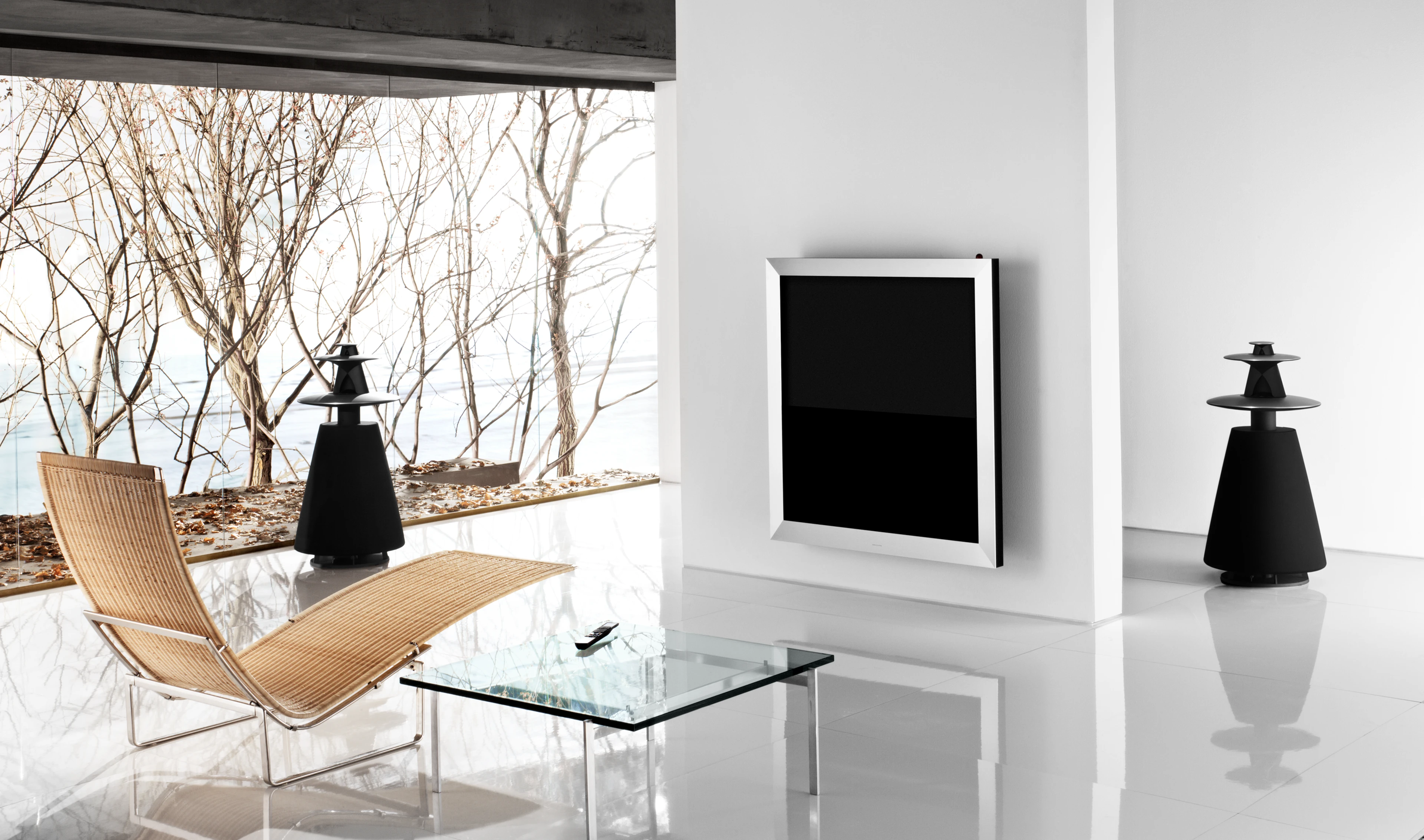 Beovision 5
