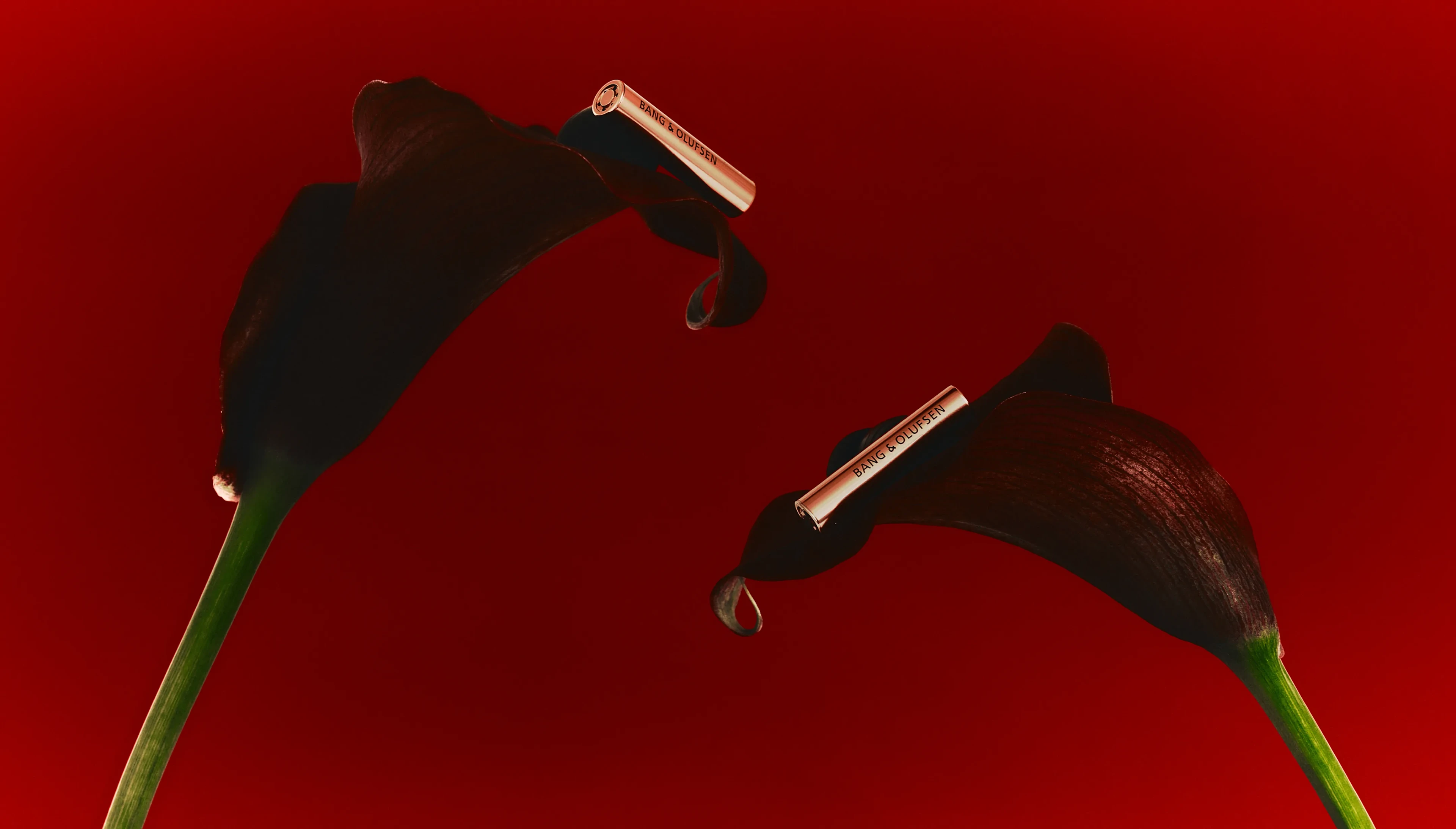 Two large dark burgundy calla lilies photographed against a rich red background. Each flower cradles a rose gold Beo Grace Honey Tone headphone nestled within its bloom. 
